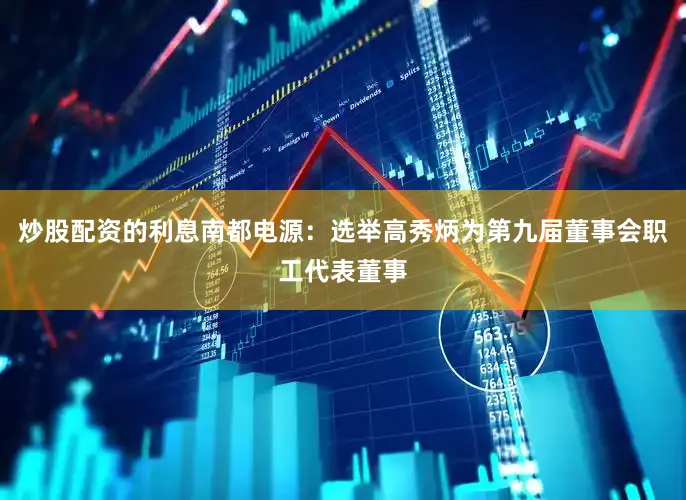 炒股配资的利息南都电源：选举高秀炳为第九届董事会职工代表董事