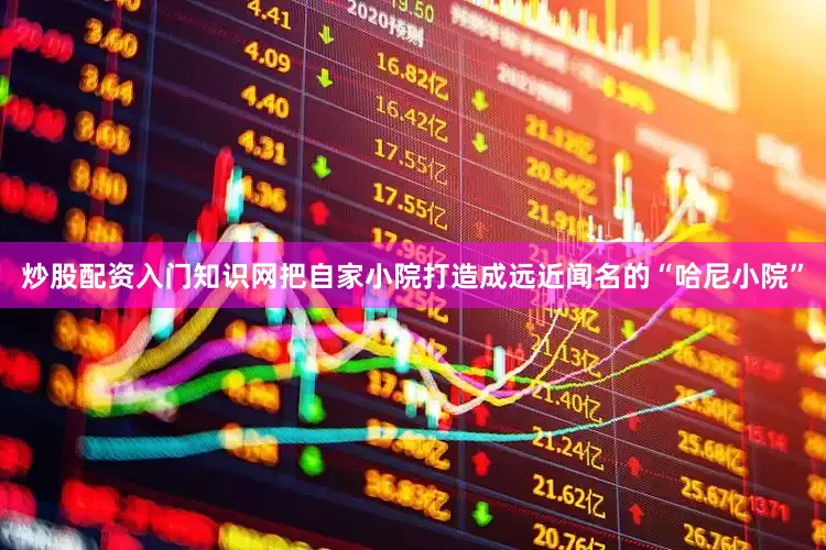 炒股配资入门知识网把自家小院打造成远近闻名的“哈尼小院”